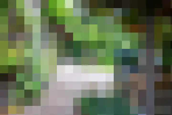 Gezichtslaan 4 Doorn thumbnail 46