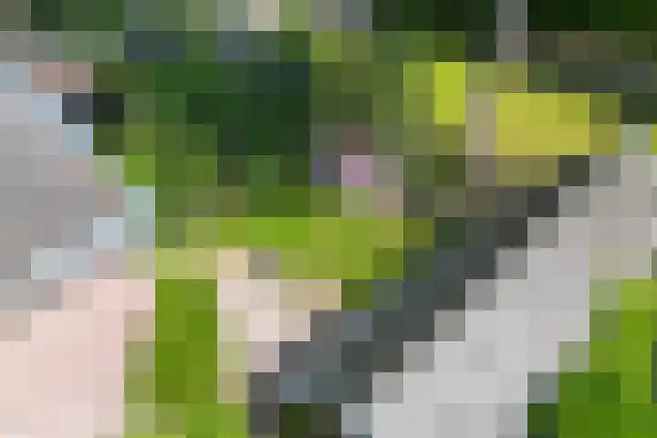 Gezichtslaan 4 Doorn thumbnail 50