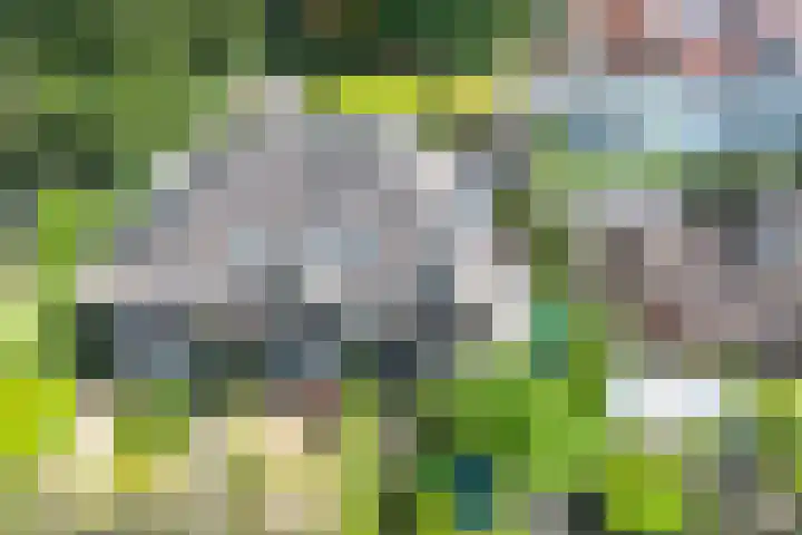 Gezichtslaan 4 Doorn thumbnail 51