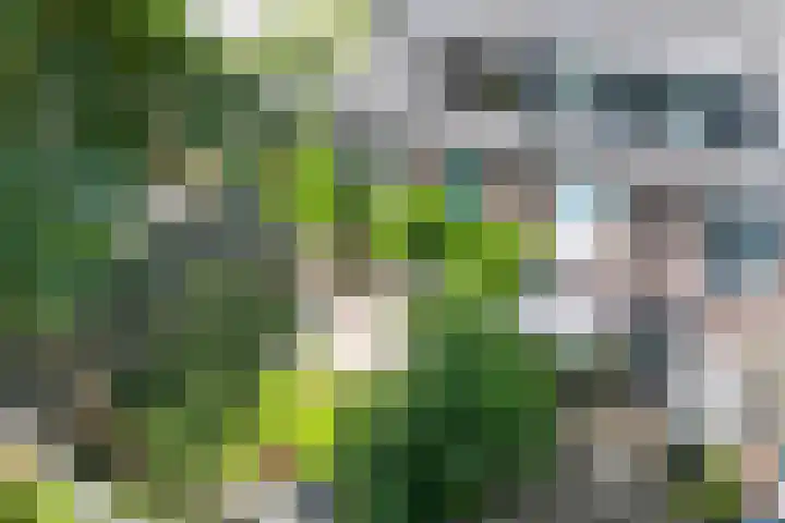 Gezichtslaan 4 Doorn thumbnail 52