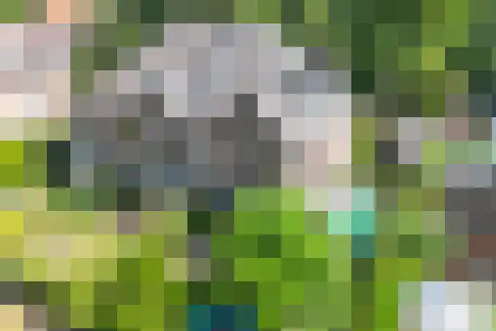 Gezichtslaan 4 Doorn thumbnail 53