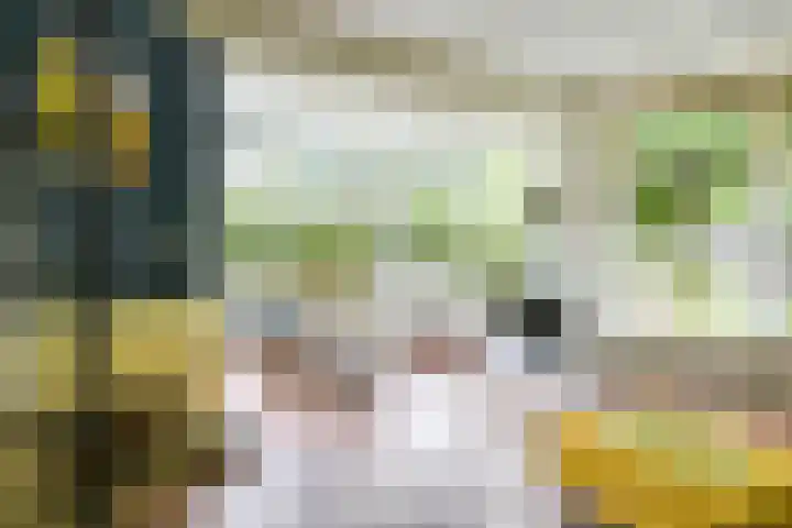 Gezichtslaan 4 Doorn thumbnail 7