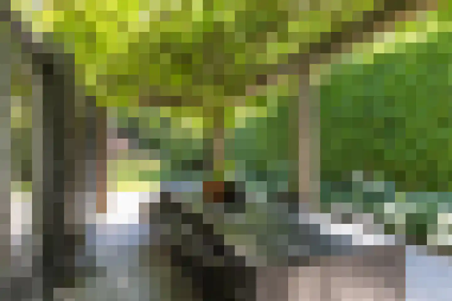 Gezichtslaan 82 Bilthoven thumbnail 34