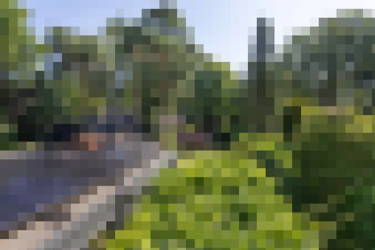 Gezichtslaan 82 Bilthoven thumbnail 34