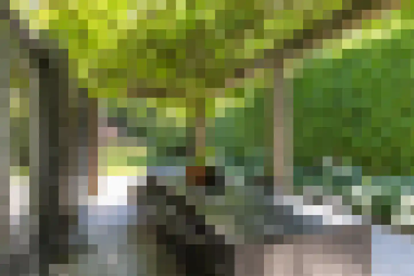 Gezichtslaan 82 Bilthoven thumbnail 35
