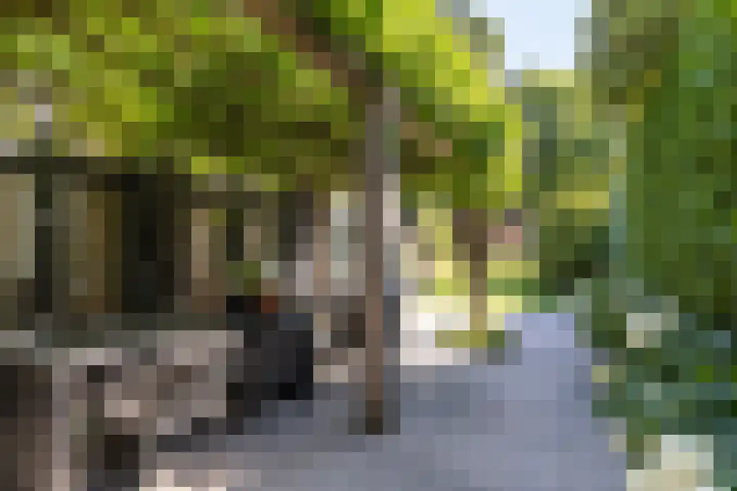 Gezichtslaan 82 Bilthoven thumbnail 36
