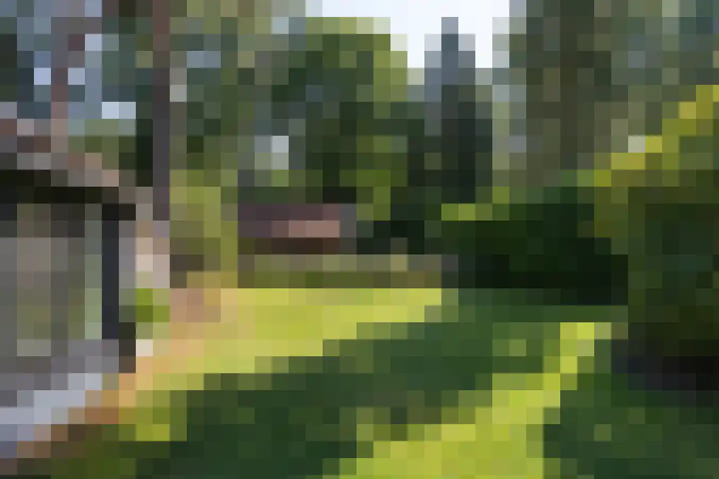 Gezichtslaan 82 Bilthoven thumbnail 38