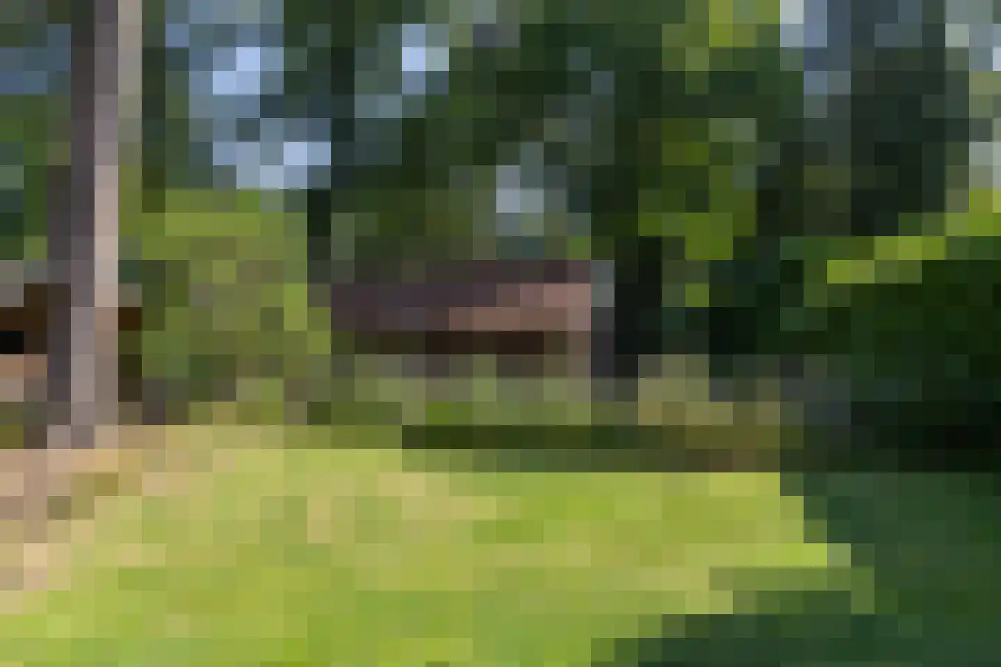 Gezichtslaan 82 Bilthoven thumbnail 39