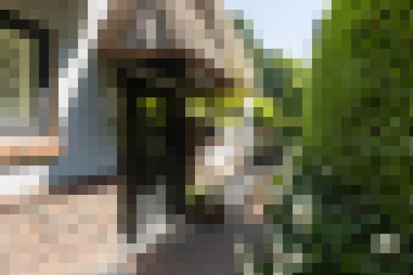 Gezichtslaan 82 Bilthoven thumbnail 4