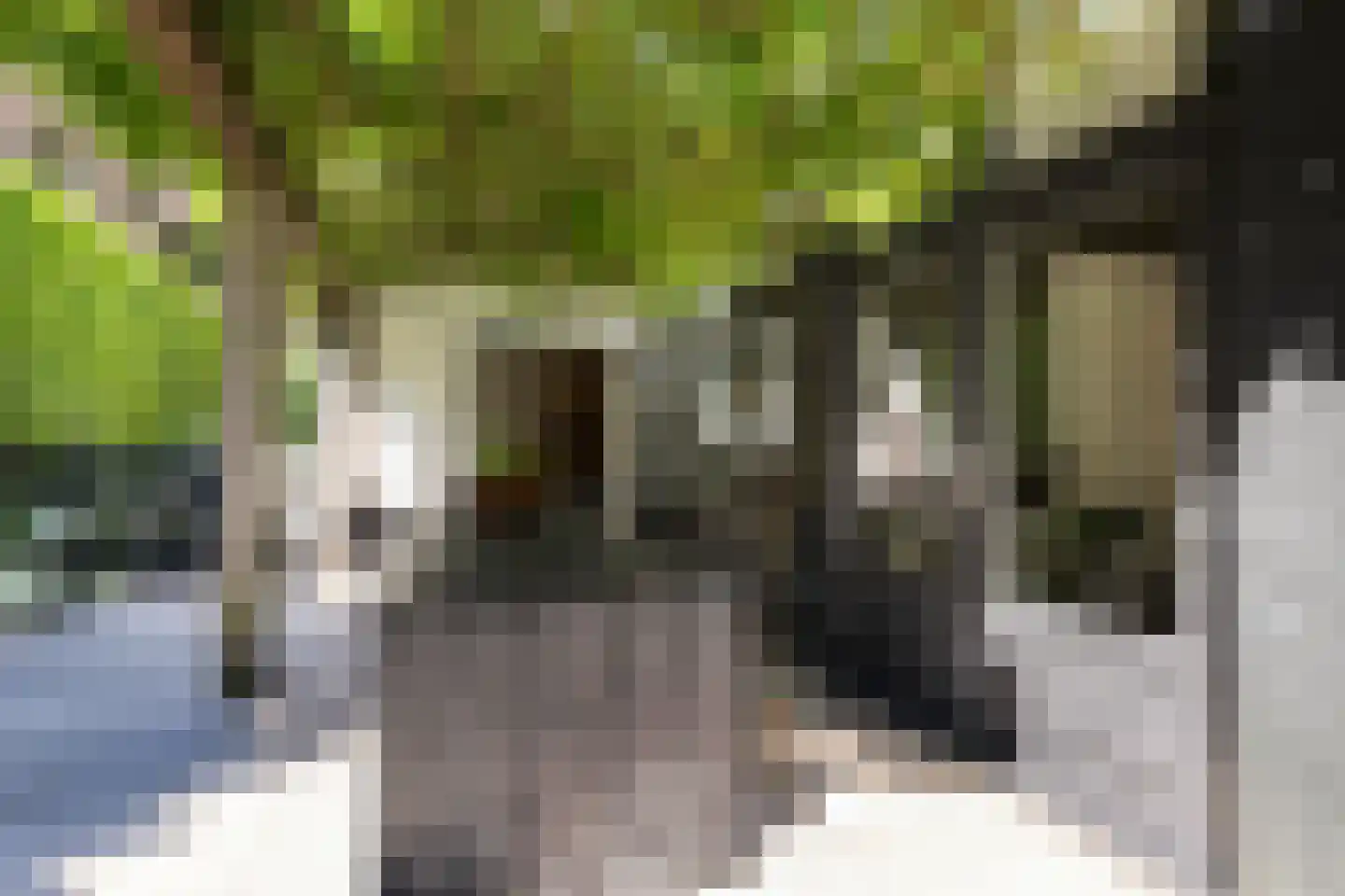 Gezichtslaan 82 Bilthoven thumbnail 43