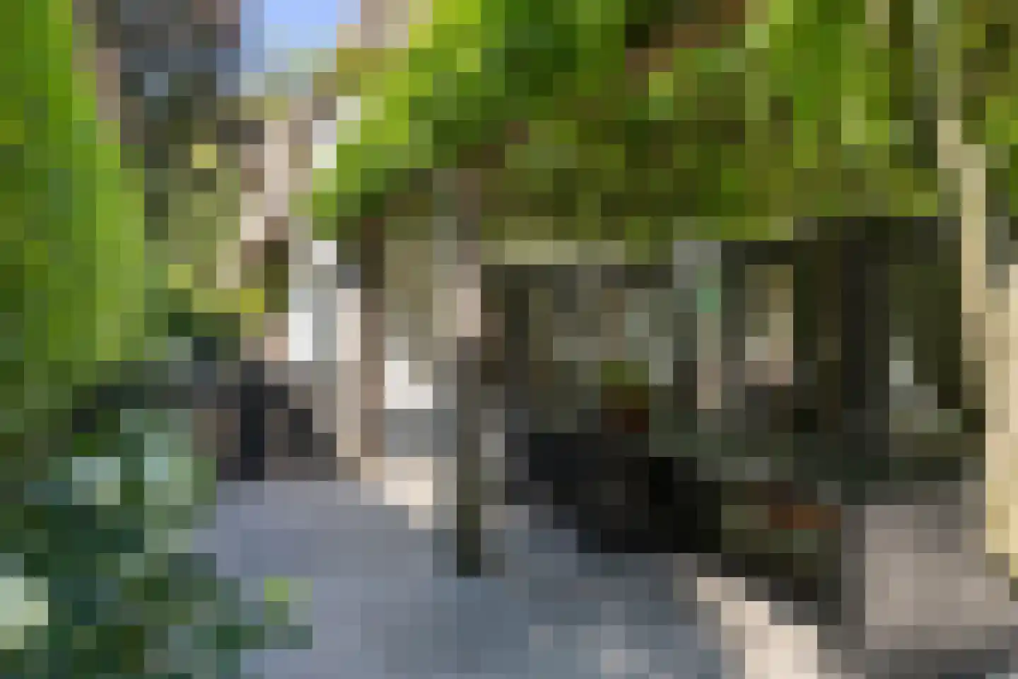 Gezichtslaan 82 Bilthoven thumbnail 43