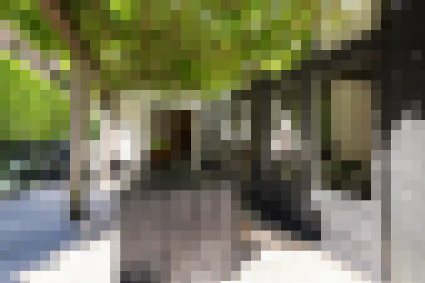 Gezichtslaan 82 Bilthoven thumbnail 44