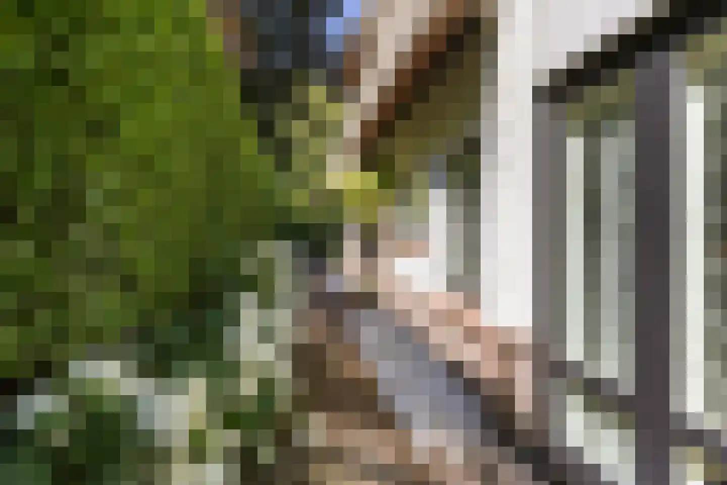 Gezichtslaan 82 Bilthoven thumbnail 44