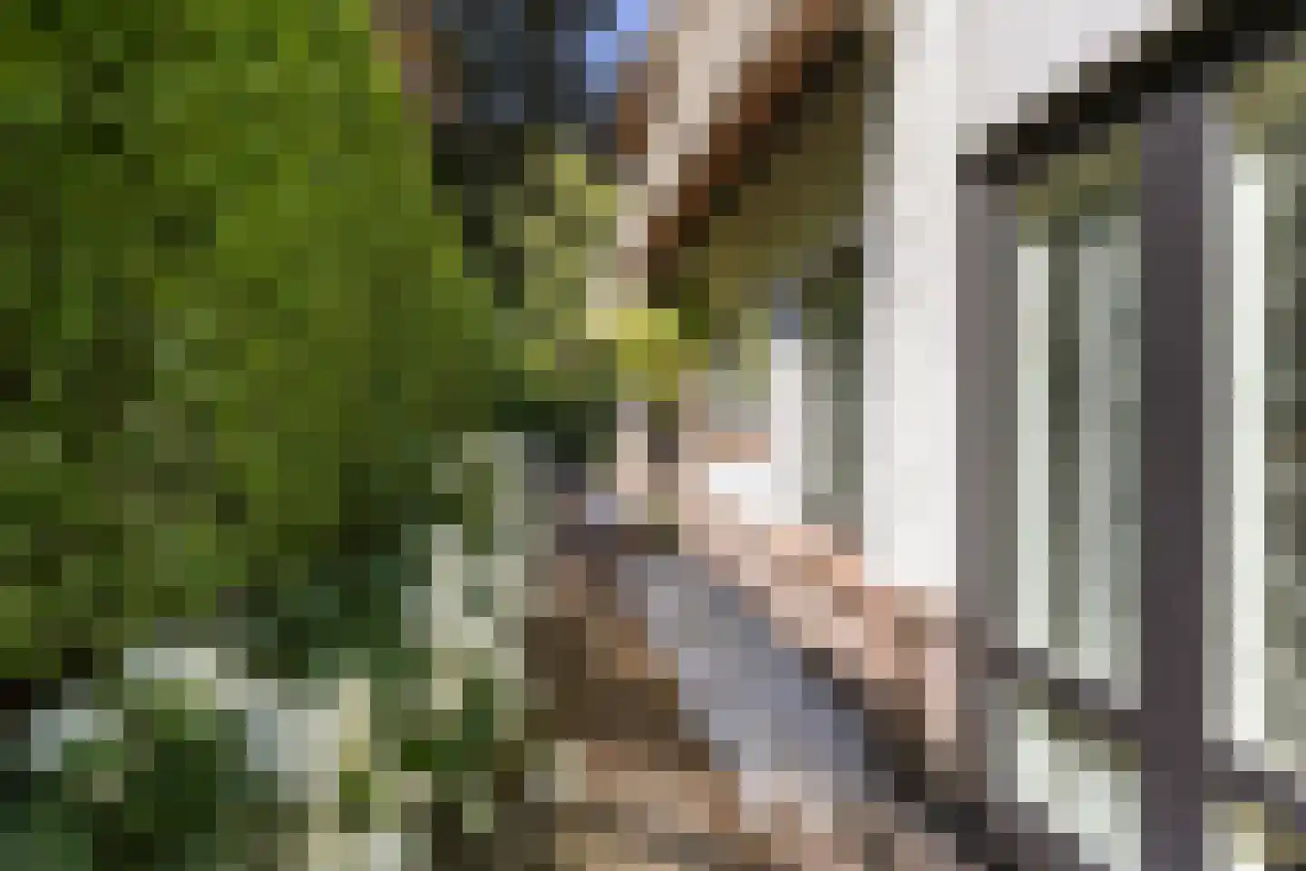 Gezichtslaan 82 Bilthoven thumbnail 45