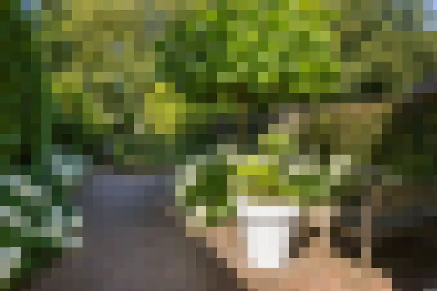 Gezichtslaan 82 Bilthoven thumbnail 46
