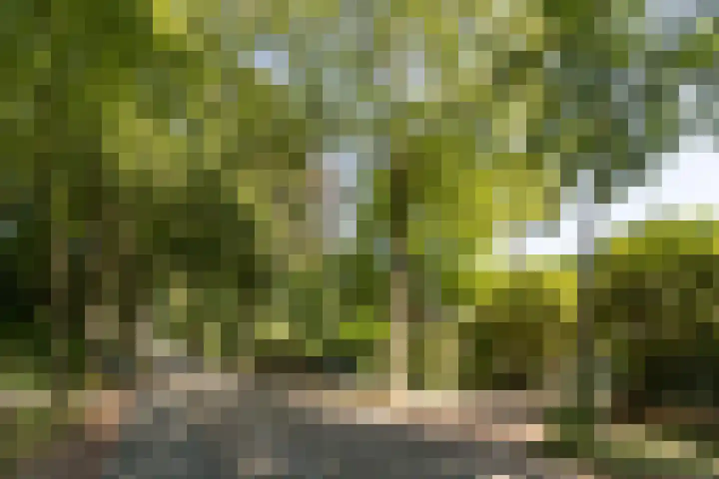 Gezichtslaan 82 Bilthoven thumbnail 48