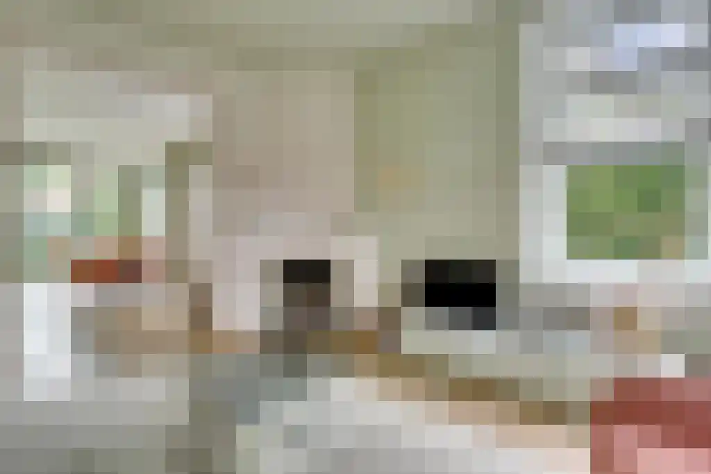 Gezichtslaan 93 Bilthoven thumbnail 17