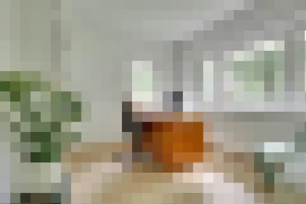 Gezichtslaan 93 Bilthoven thumbnail 27