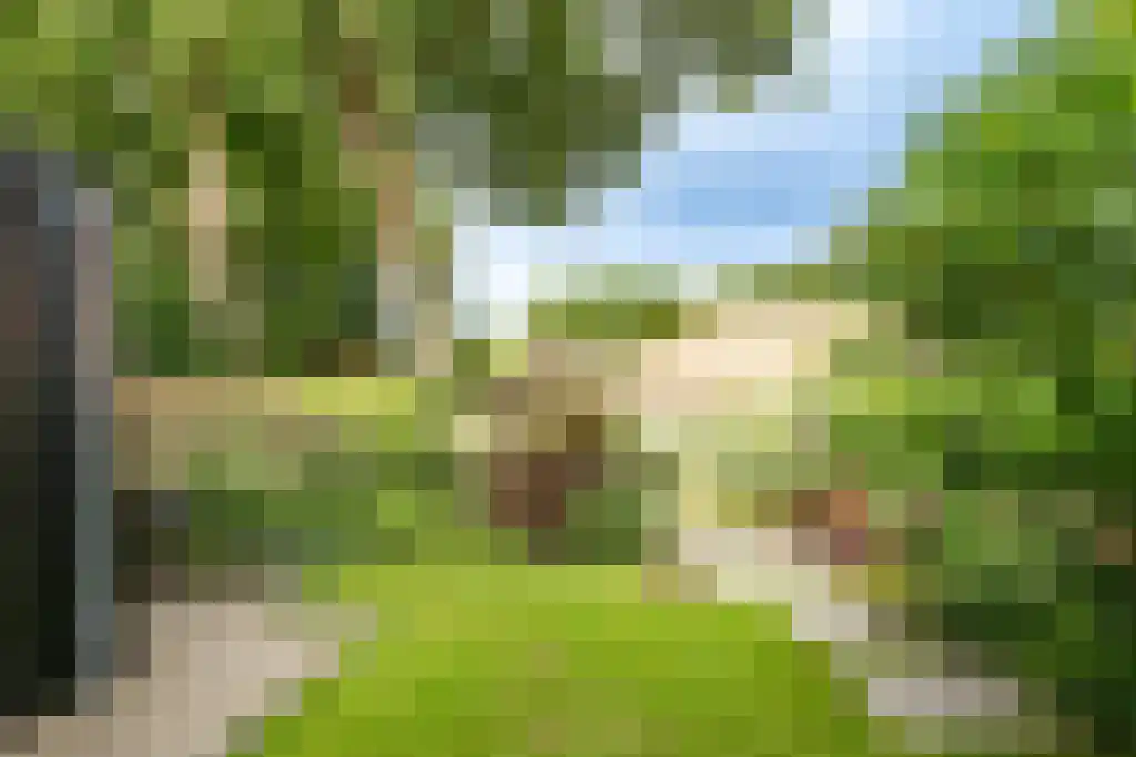 Gezichtslaan 93 Bilthoven foto 3