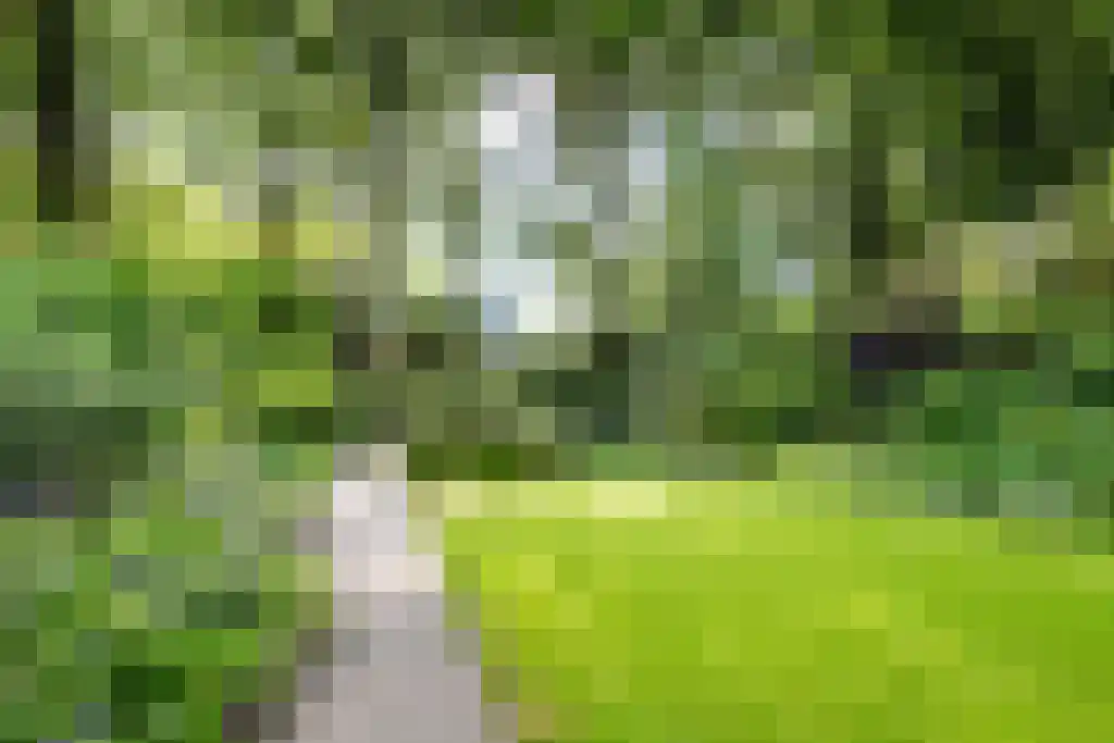 Gezichtslaan 93 Bilthoven thumbnail 39