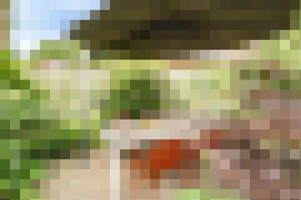 Gezichtslaan 93 Bilthoven thumbnail 43