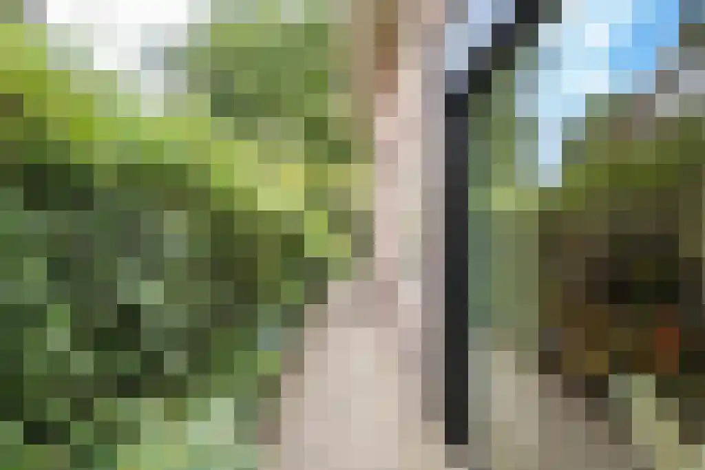 Gezichtslaan 93 Bilthoven thumbnail 49