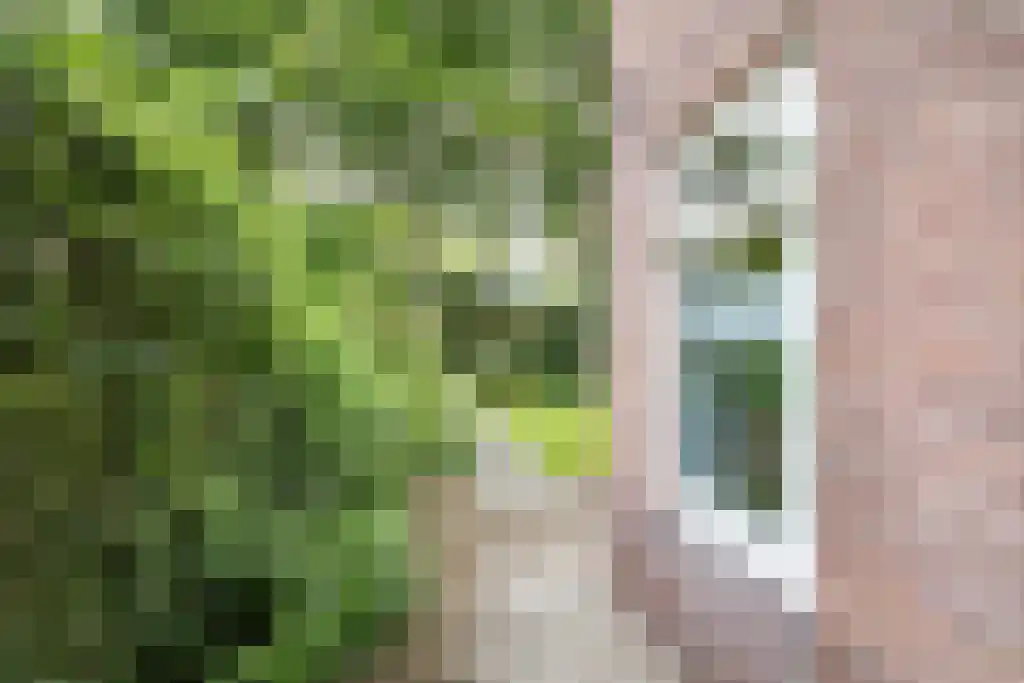 Gezichtslaan 93 Bilthoven thumbnail 50
