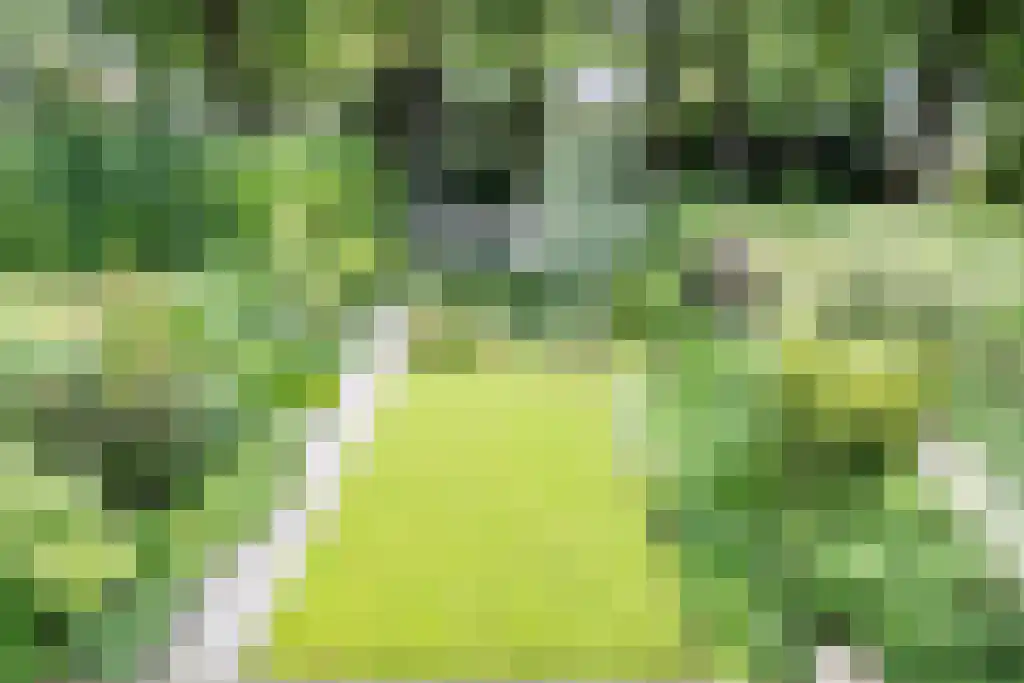 Gezichtslaan 93 Bilthoven thumbnail 51
