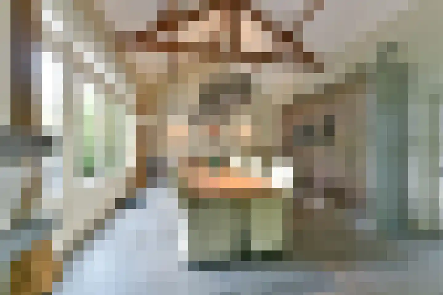 Gezichtslaan 96 Bilthoven thumbnail 11