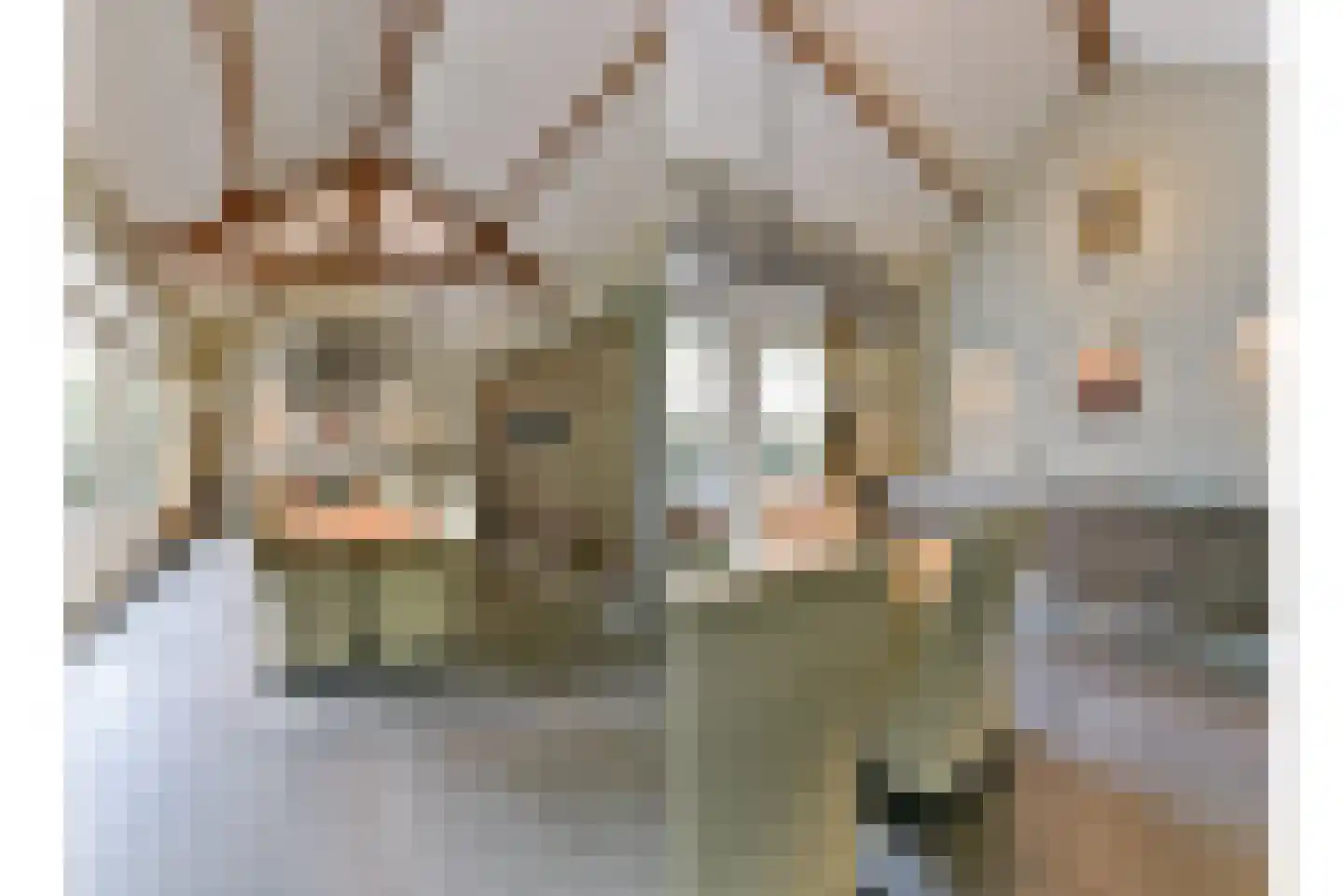 Gezichtslaan 96 Bilthoven thumbnail 13