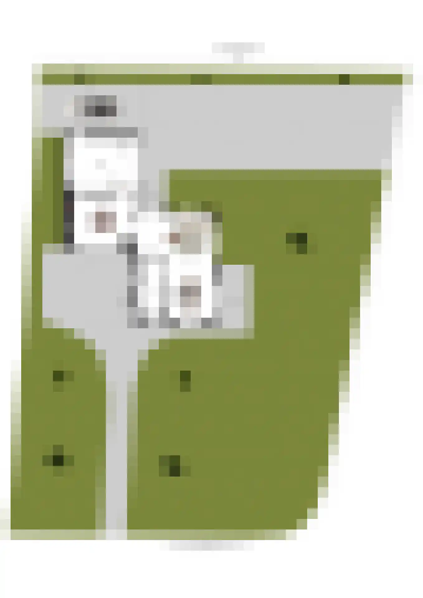 Gezichtslaan 96 Bilthoven thumbnail 48