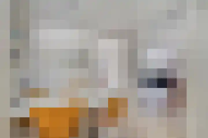 Gezina van der Molenlanden 26 Enschede thumbnail 18