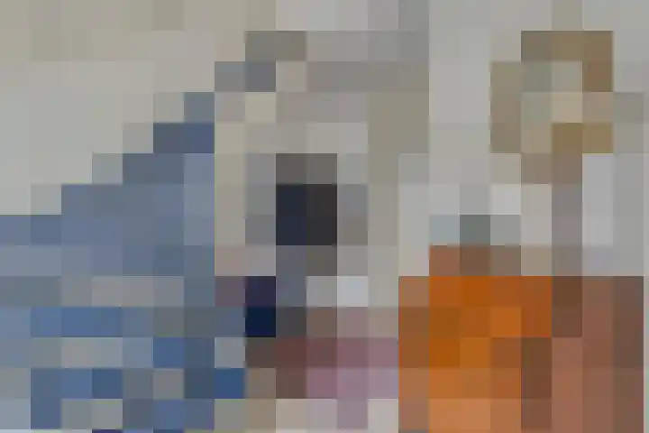 Gezina van der Molenlanden 26 Enschede thumbnail 6