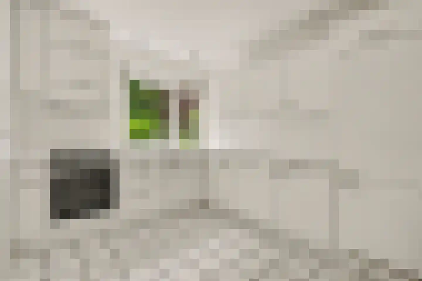 Gezina van der Molenlanden 6 Enschede thumbnail 18