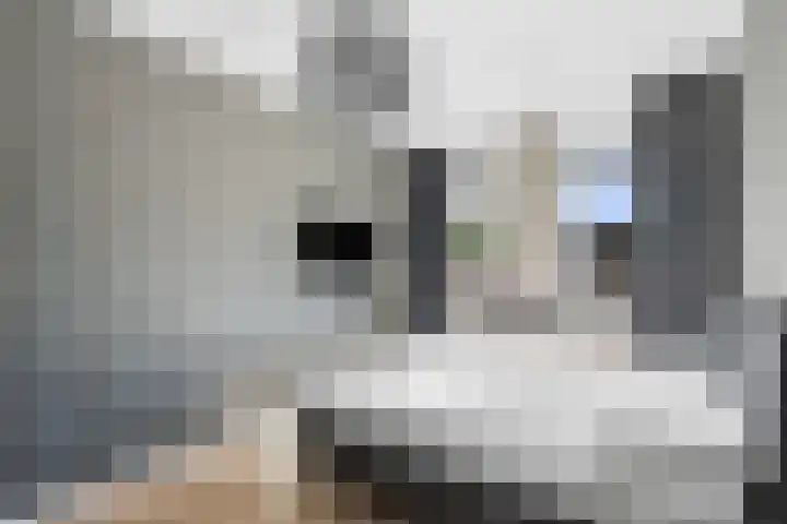 Gezina van der Molenstr 3 Coevorden thumbnail 20