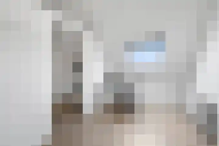 Gezina van der Molenstr 3 Coevorden thumbnail 27