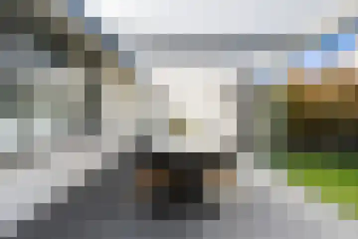 Gezina van der Molenstr 3 Coevorden thumbnail 30