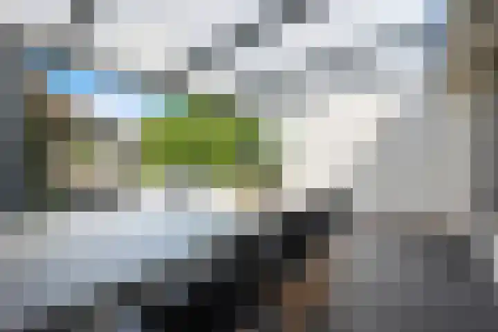 Gezina van der Molenstr 3 Coevorden thumbnail 31