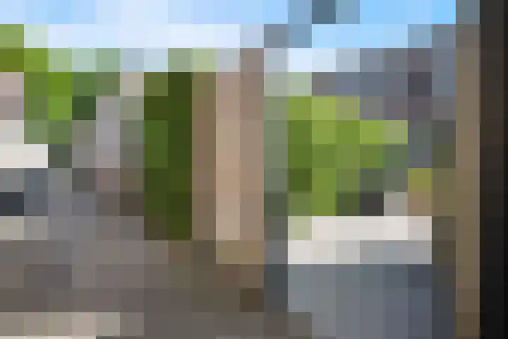 Gezina van der Molenstr 3 Coevorden thumbnail 36