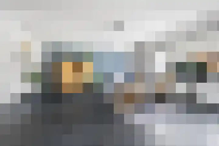 Gezina van der Molenstr 3 Coevorden thumbnail 7
