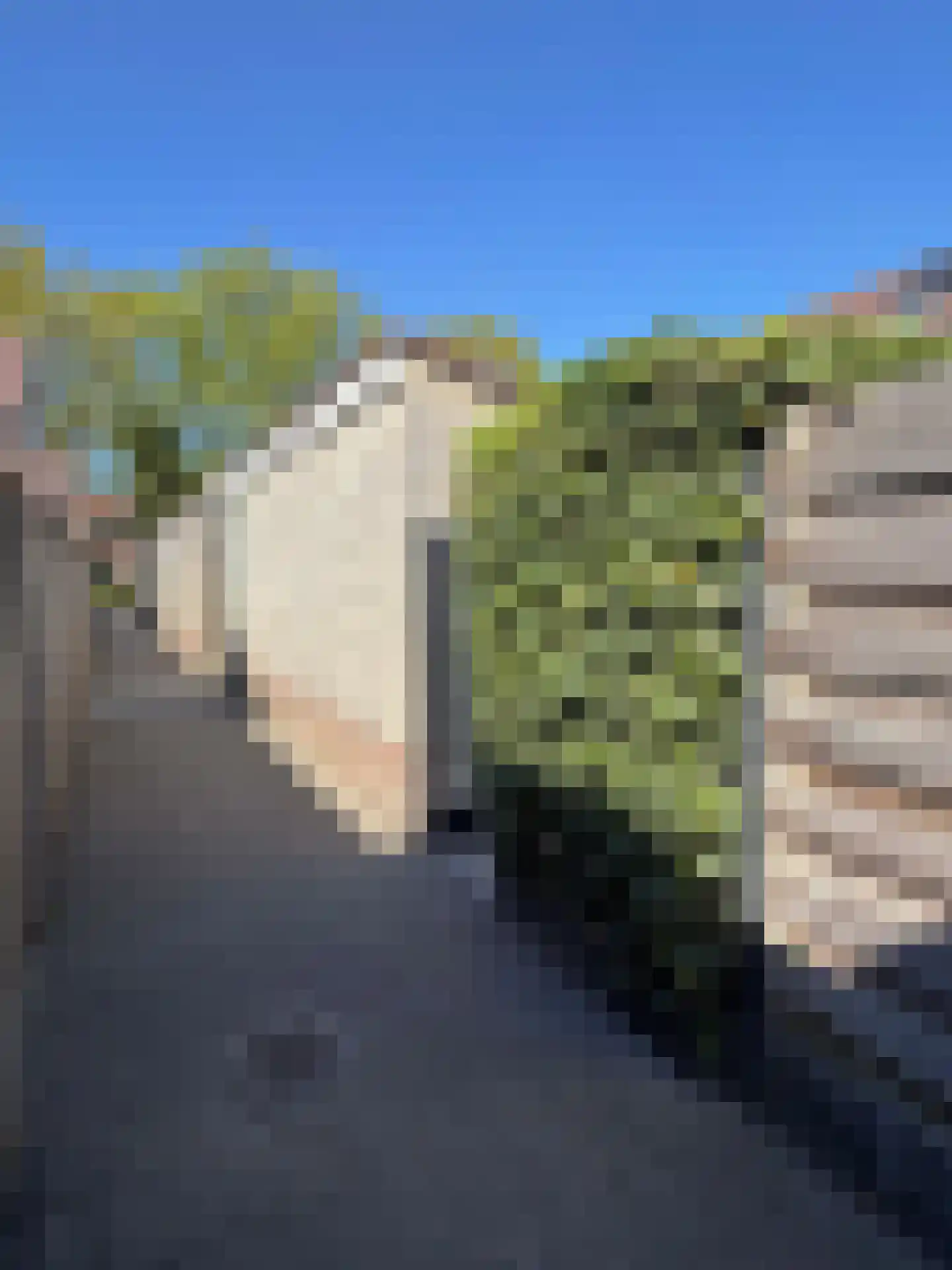 Gezina van der Molenstr 5 Coevorden thumbnail 11