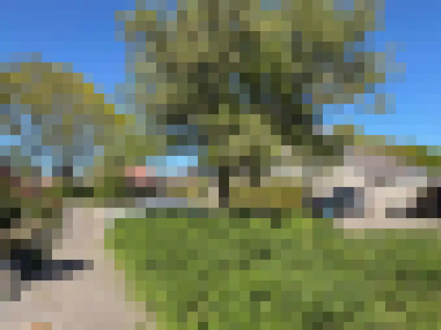 Gezina van der Molenstr 5 Coevorden thumbnail 9