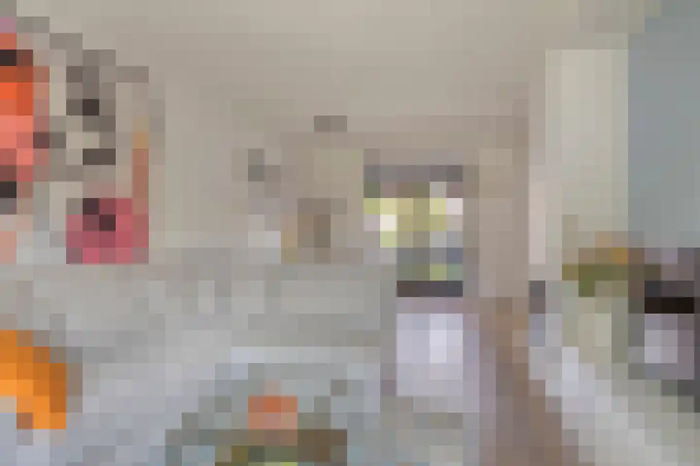 Gezinastraat 11 Hengelo thumbnail 11