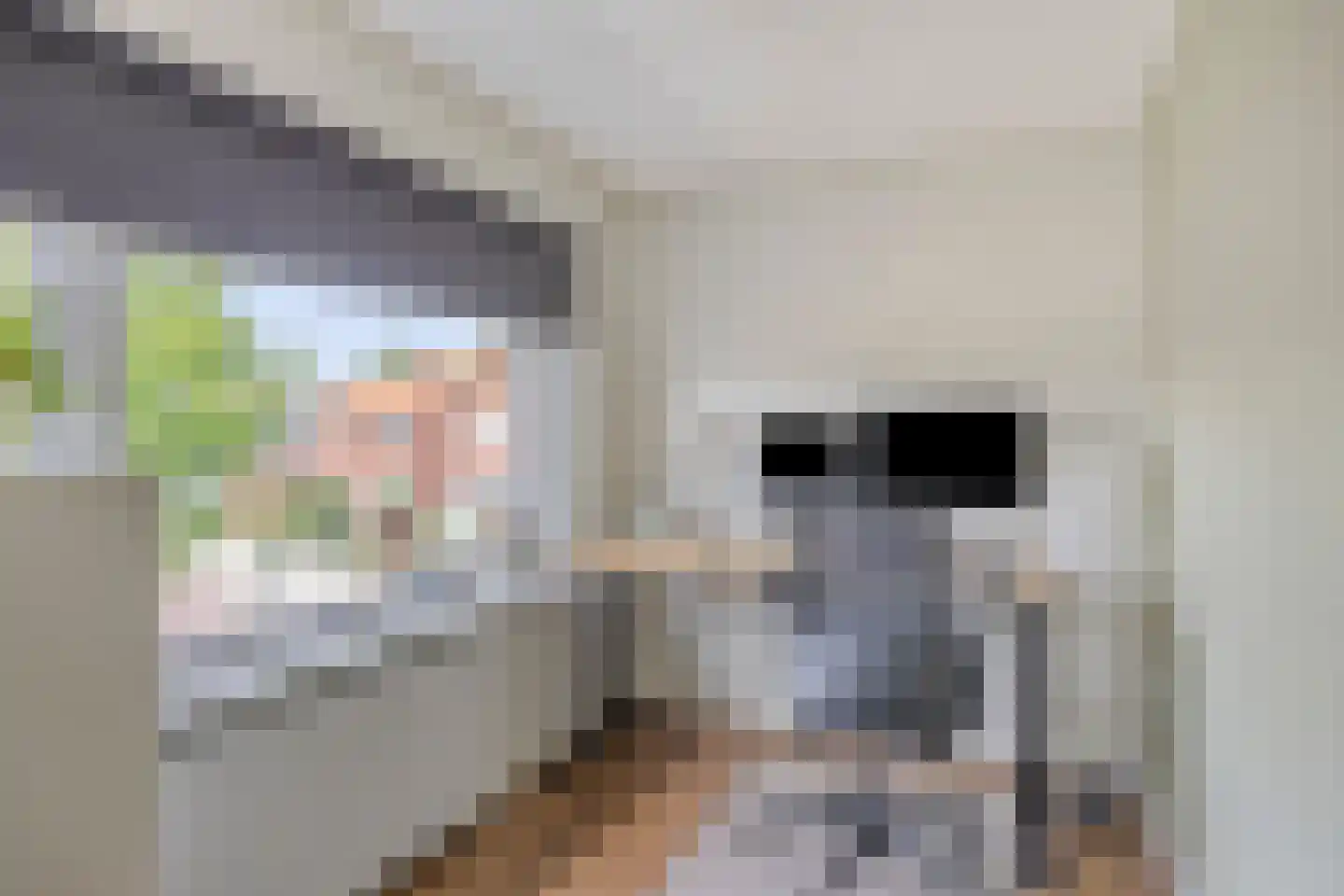 Gezinastraat 11 Hengelo thumbnail 27