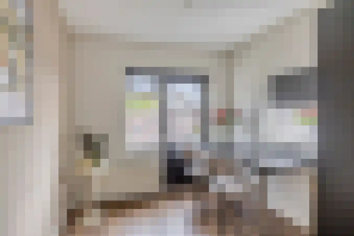 Gezinastraat 11 Hengelo thumbnail 28