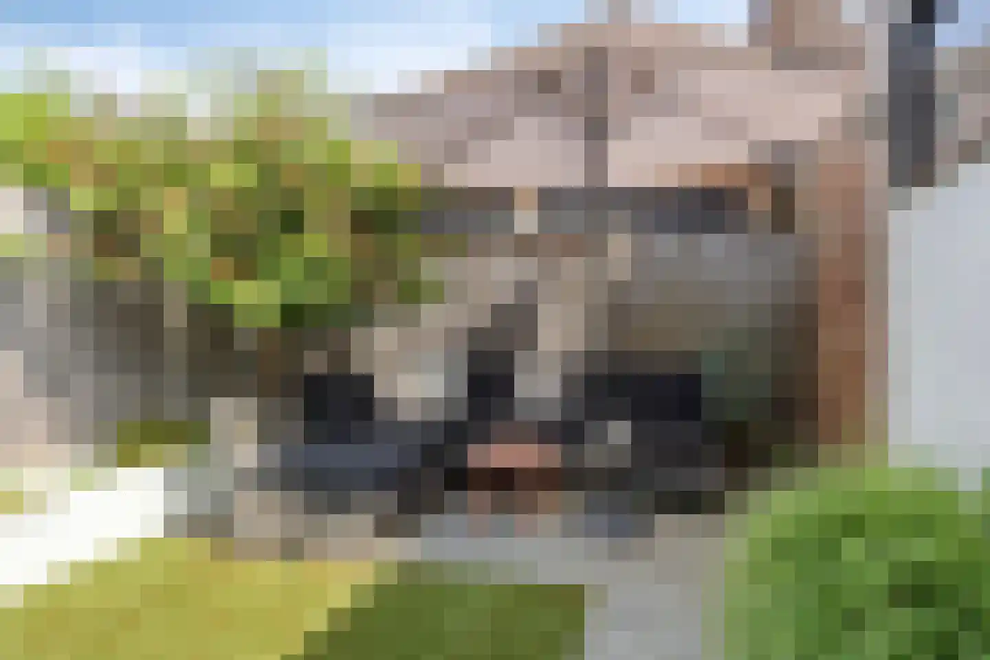 Gezinastraat 11 Hengelo thumbnail 34