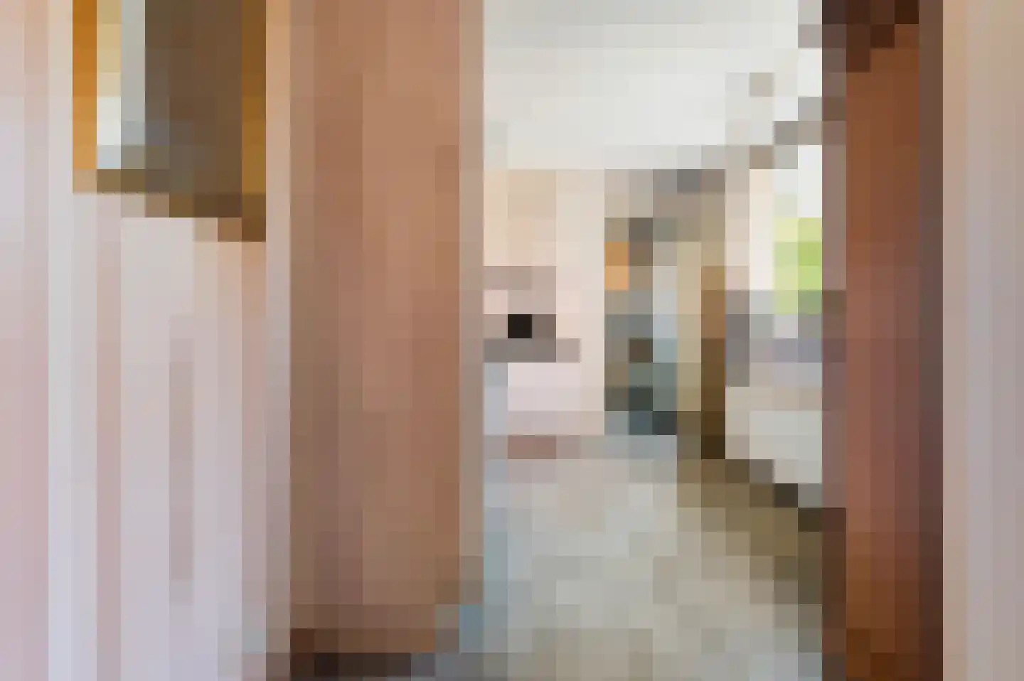 Gezinastraat 15 Hengelo thumbnail 12