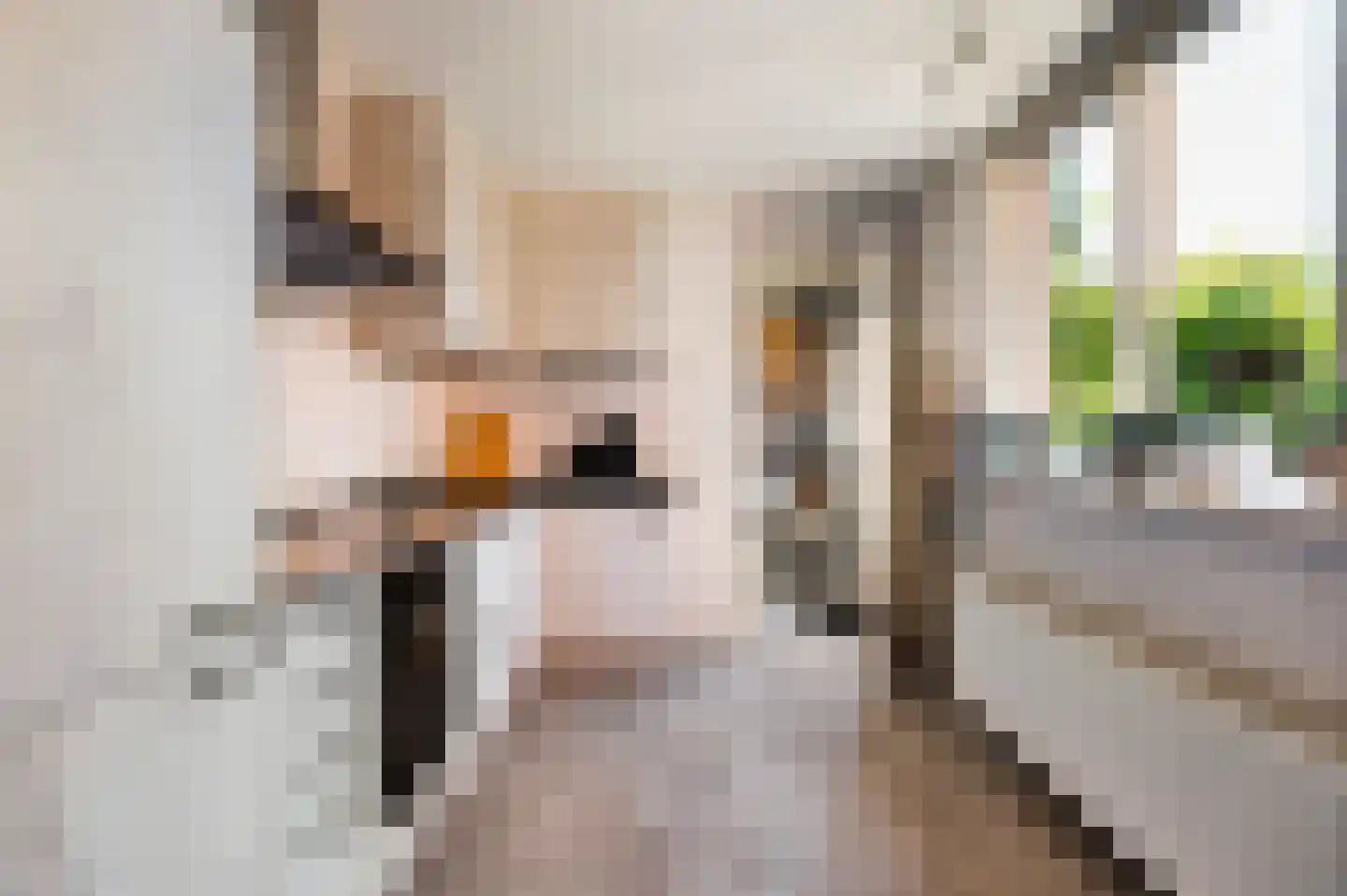 Gezinastraat 15 Hengelo thumbnail 15