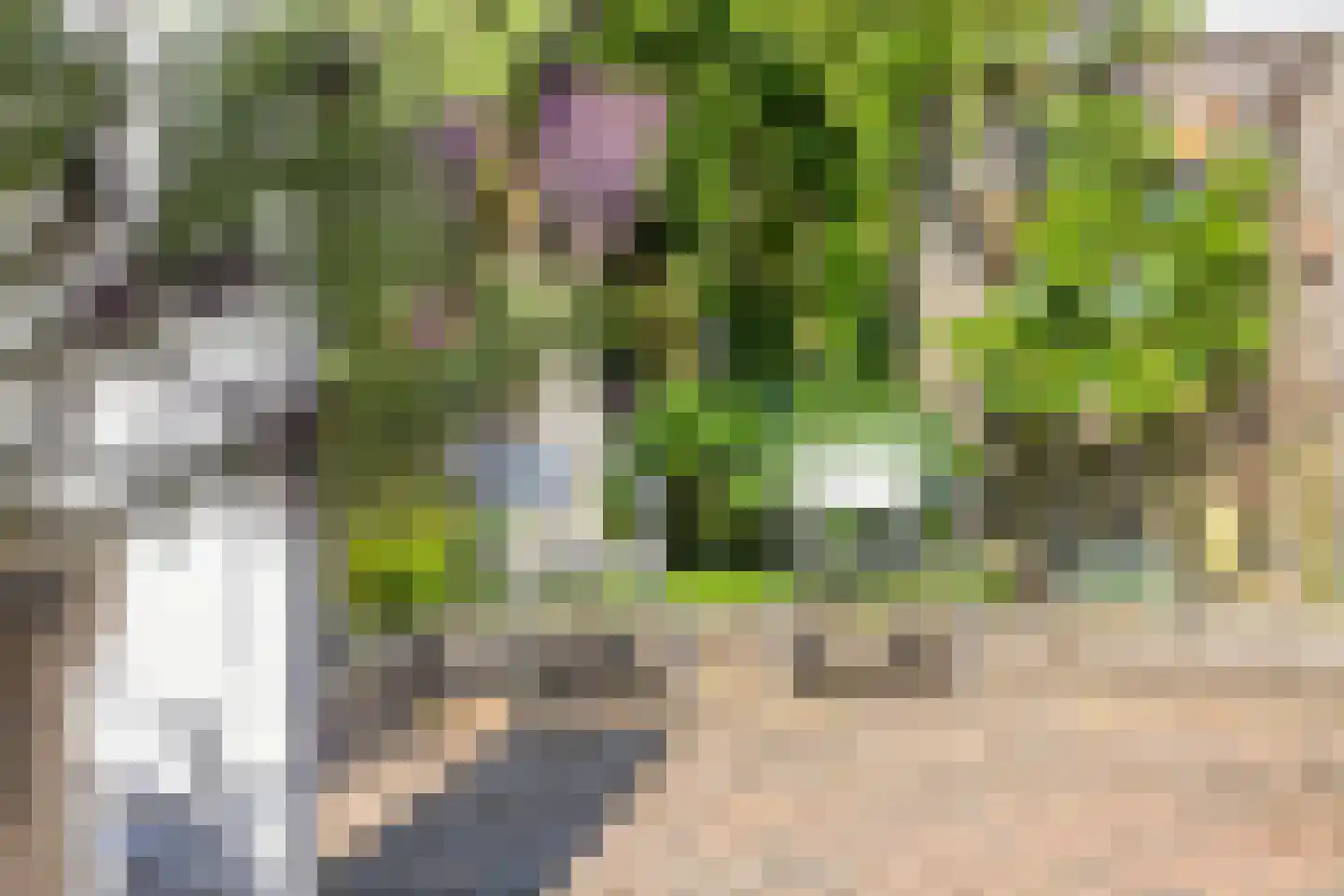 Gezinastraat 18 Hengelo thumbnail 28