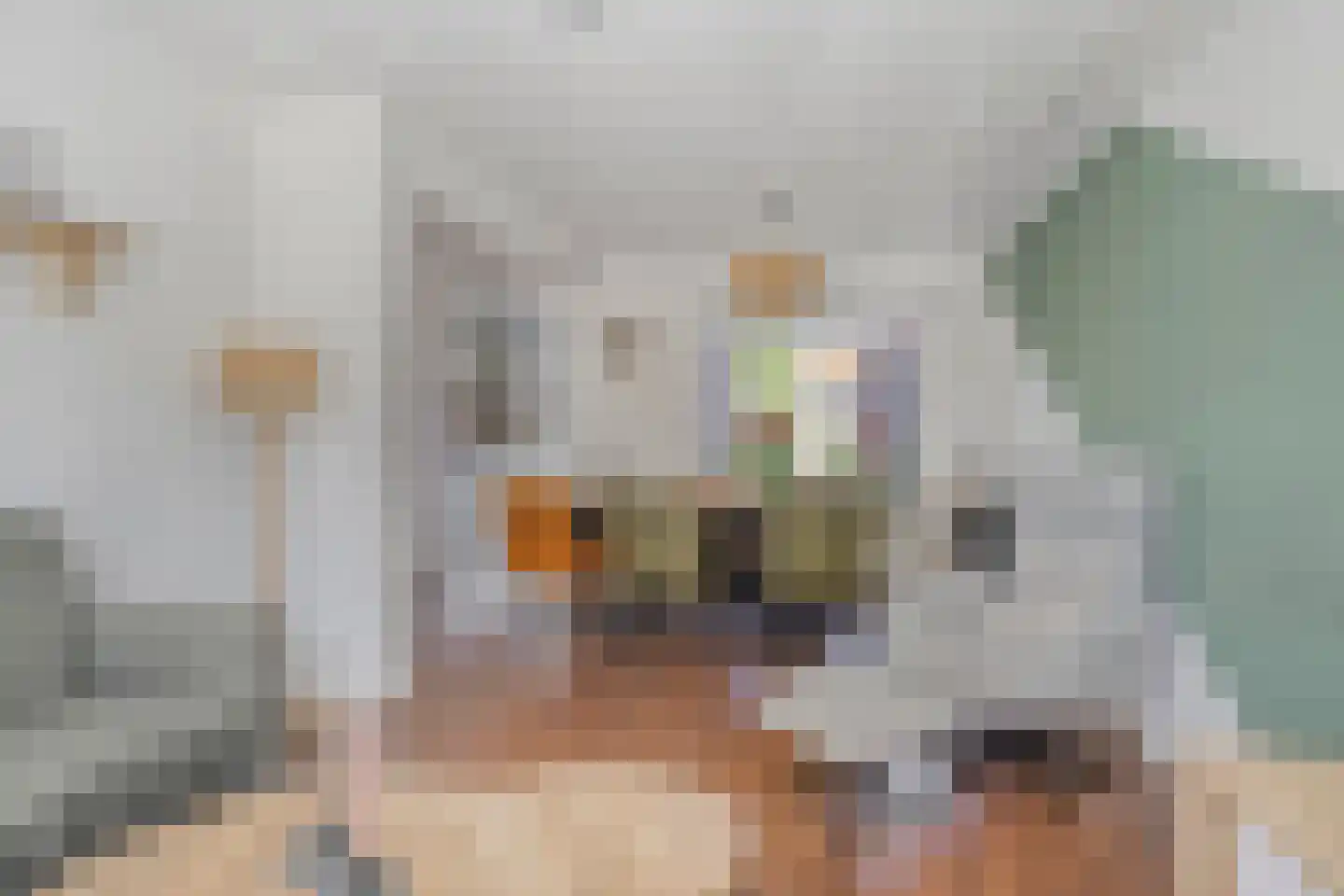 Gezinastraat 18 Hengelo thumbnail 4